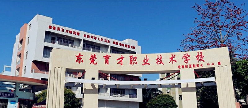 无码精品人妻一区二区三A片